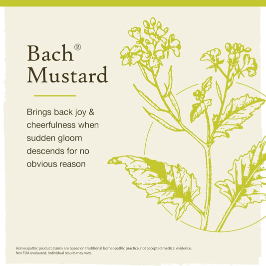 Bach Original Flower Remedies, Mustard For Joy (Non-Alcohol Formula), Natural Homeopathic Flower Essence, Holistic Wellness And Stress Relief, Vegan, 10Ml Dropper