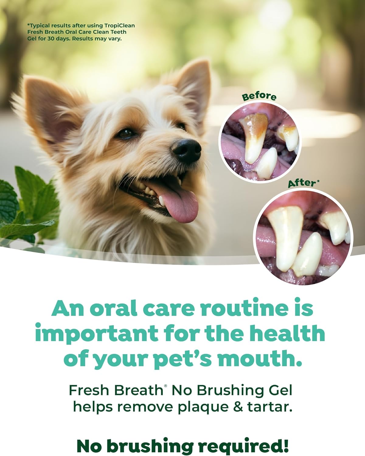 TropiClean Fresh Breath Dog Teeth Cleaning Gel - No Brushing Dental Care - Breath Freshener Oral Care - Complete Dog Teeth Cleaning Solution - Helps Remove Plaque & Tartar, Original, 59ml :Health & Personal Care
