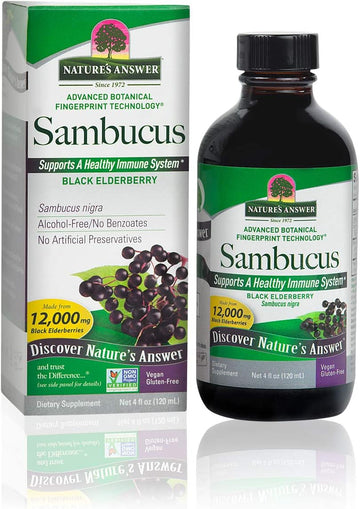 Nature'S Answer Alcohol-Free Sambucus Original 4 Liq | Daily Immune Support | Packed With Antioxidants | Family Friendly | Gluten-Free, Vegan | Single Count