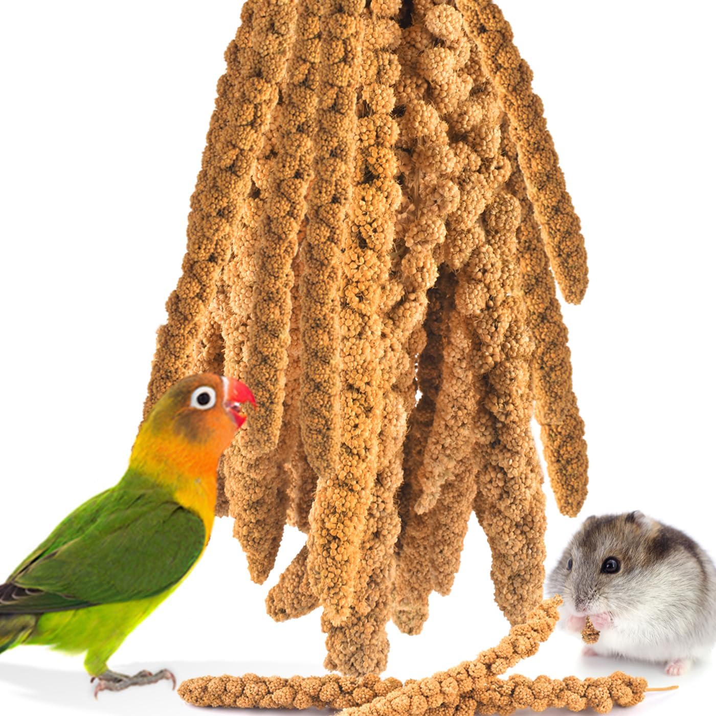 Katumo Bird Millet Treats, 1.1Lb / 500G Natural Healthy Parrot Millet Spray Cockatiel Treats For Parakeet Budgie Finch Conure Pigeon Lovebird Hamster