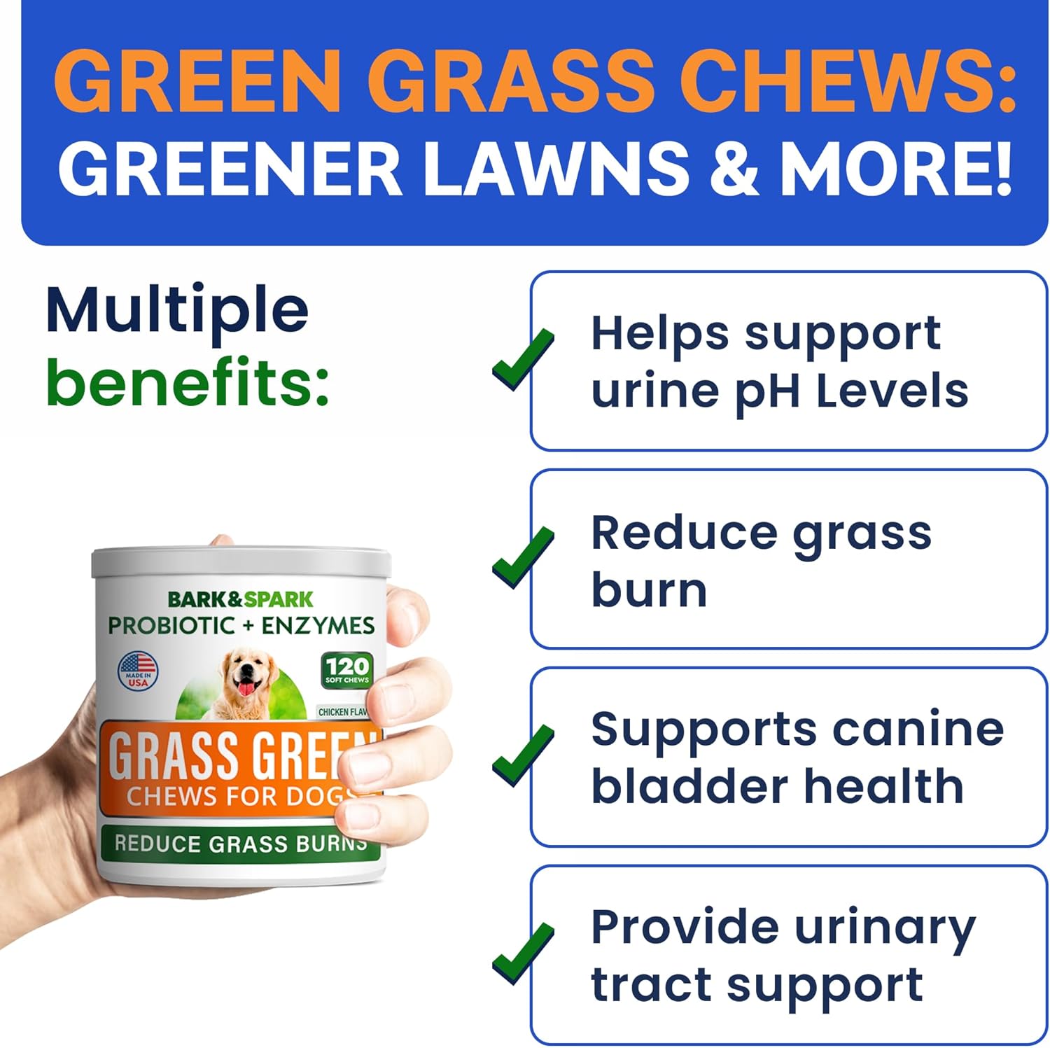 BARK&SPARK Green Grass Chews - Pee Grass Spot Saver Caused by Dog Urine - Urine Neutralizer for Lawn, Gut Health Probiotics & Digestive Enzymes,Lawn Burn from Dog Urine, Grass Burn Spot Chews, Rocks : Pet Supplies