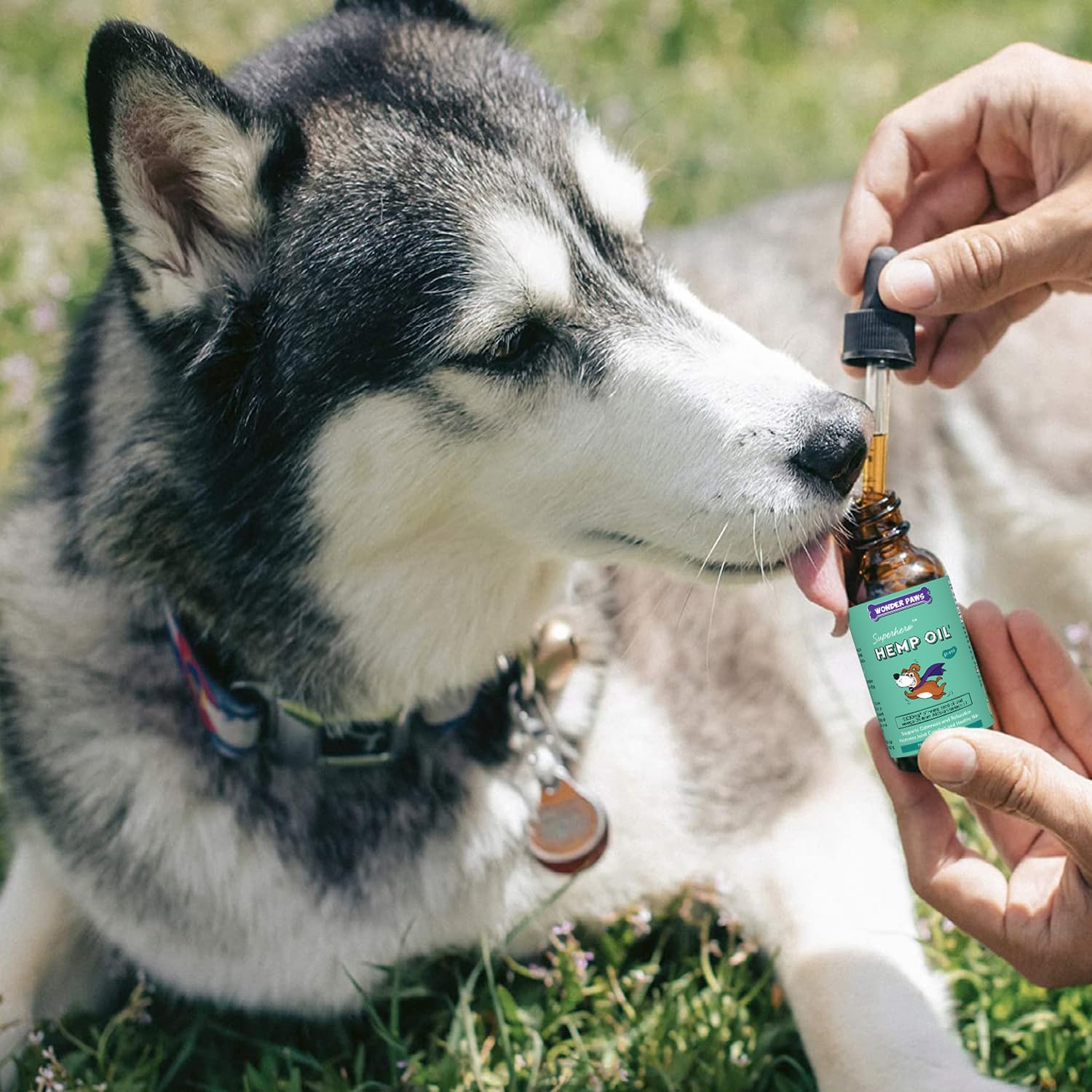 WONDER PAWS Organic Hemp Oil for Dogs – 9,000 mg of Hemp Oil with Alaskan Salmon Oil & Omega 3 Fatty Acids - Hemp for Pets, Joint Health, Anxiety Relief, Calming, Skin & Immune – 60 ml Hemp Oil Drops : Pet Supplies