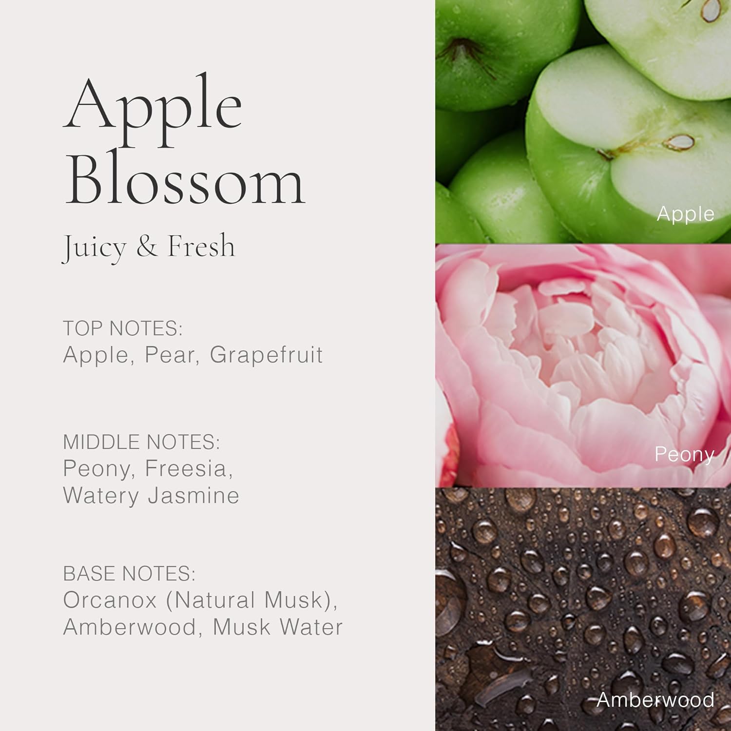 Clean Classic Apple Blossom 60Ml : Beauty & Personal Care