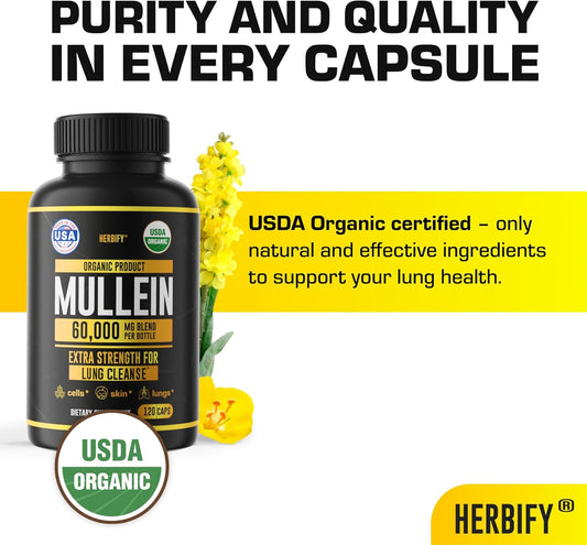 Herbify Mullein Extract 2 Oz Tincture For Respiratory Health, Mullein Leaf And Flowers Blend (Verbascum Densiflorum)