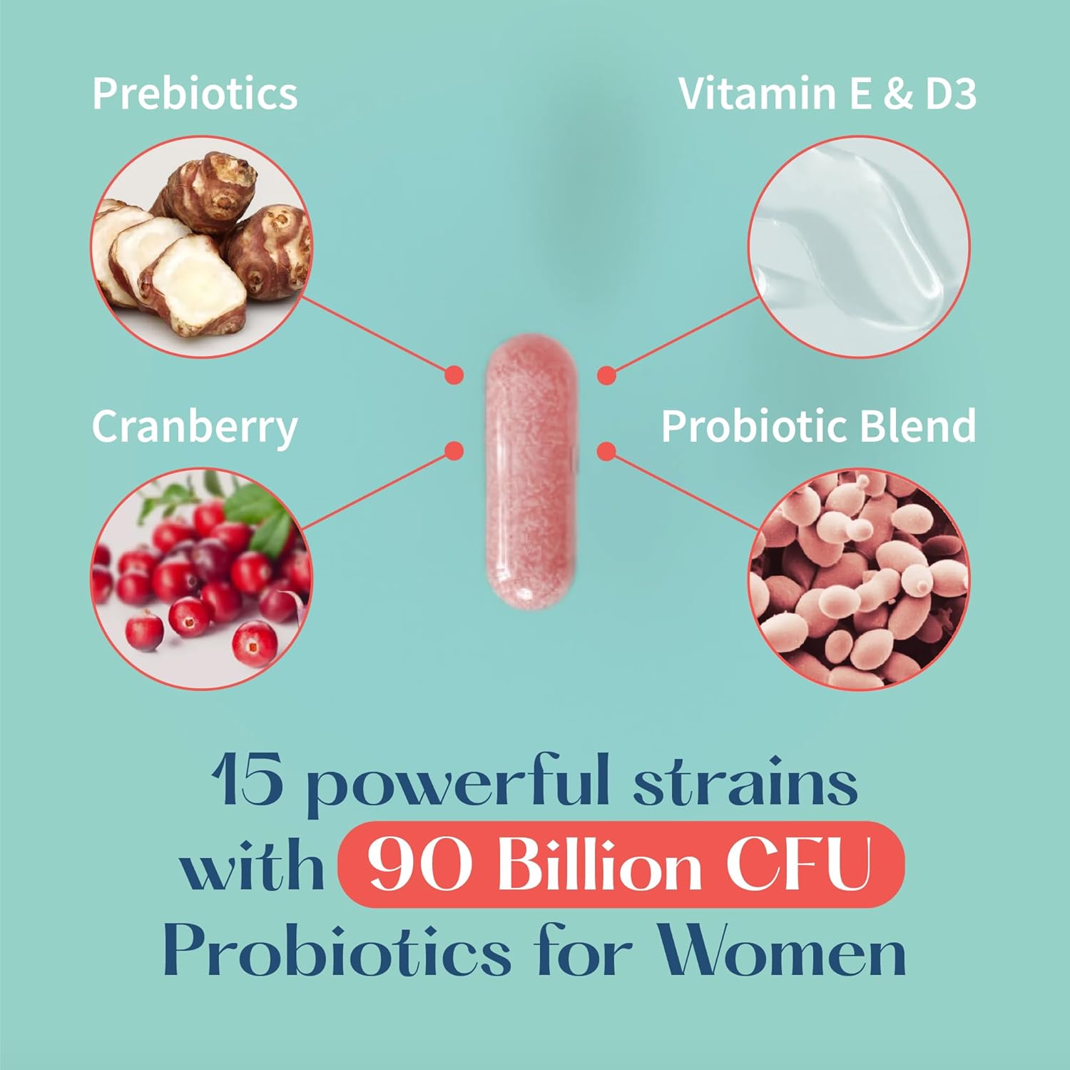 Lovebug V-Best Vaginal Probiotics - 90 Billion Cfu Womens Probiotic For Ph Balance, Urinary Tract Health, Bv & Odor, Probiotics For Women With Lactobacillus Acidophilus, Rhamnosus Gg, Reuteri - 60 Ct : Health & Household