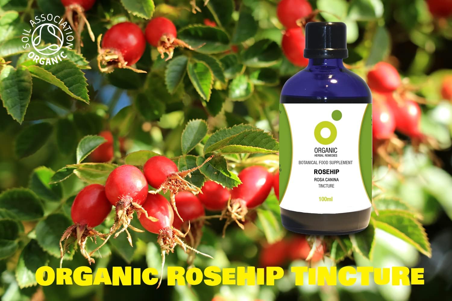 Organic Herbal Remedies 100 ml Rosehip Tincture : Amazon.co.uk: Health & Personal Care