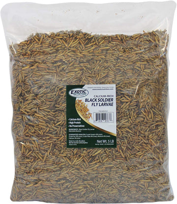 Bulk Dried Black Soldier Fly Larvae (5Lb) - High-Calcium Insect Treat - Chickens, Wild Birds, Hedgehogs, Bluebirds, Reptiles, Sugar Gliders, Opossums, Skunks, Lizards, Bearded Dragon, Fish