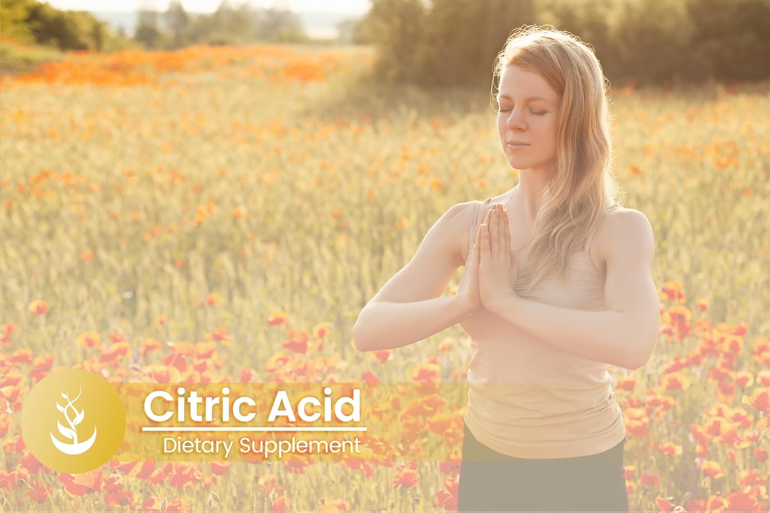 PURE ORIGINAL INGREDIENTS Citric Acid, (100 Capsules) Always Pure, No Additives Or Fillers, Lab Verified : Health & Household