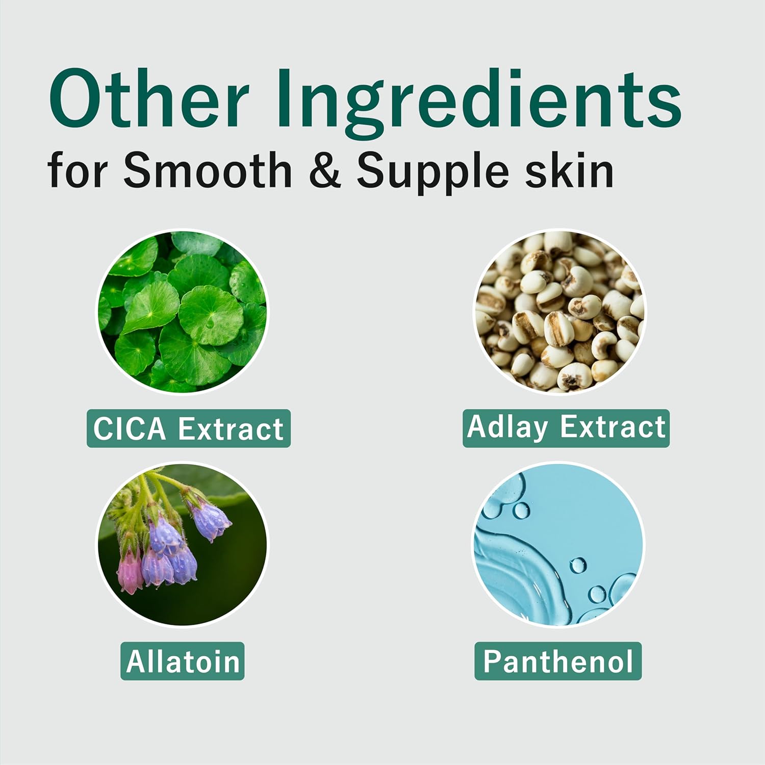 Green Tea Bha Melting Toner Pads W/Centella Asiatica - 150 Large Pads Soothing Hydrating Moisturizing 13 Oz | All Skin Types | Anti-Blemish Daily Care Gentle Mild Peeling Exfoliating Korean Skincare : Beauty & Personal Care