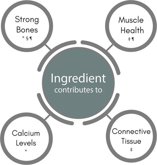 Synbio Premium+ Osteo Health | Advanced Bone & Muscle Support | 60 Vegetarian Capsules | High Strength Calcium, Magnesium, Vitamin D3 & K2 Supplement | Uk