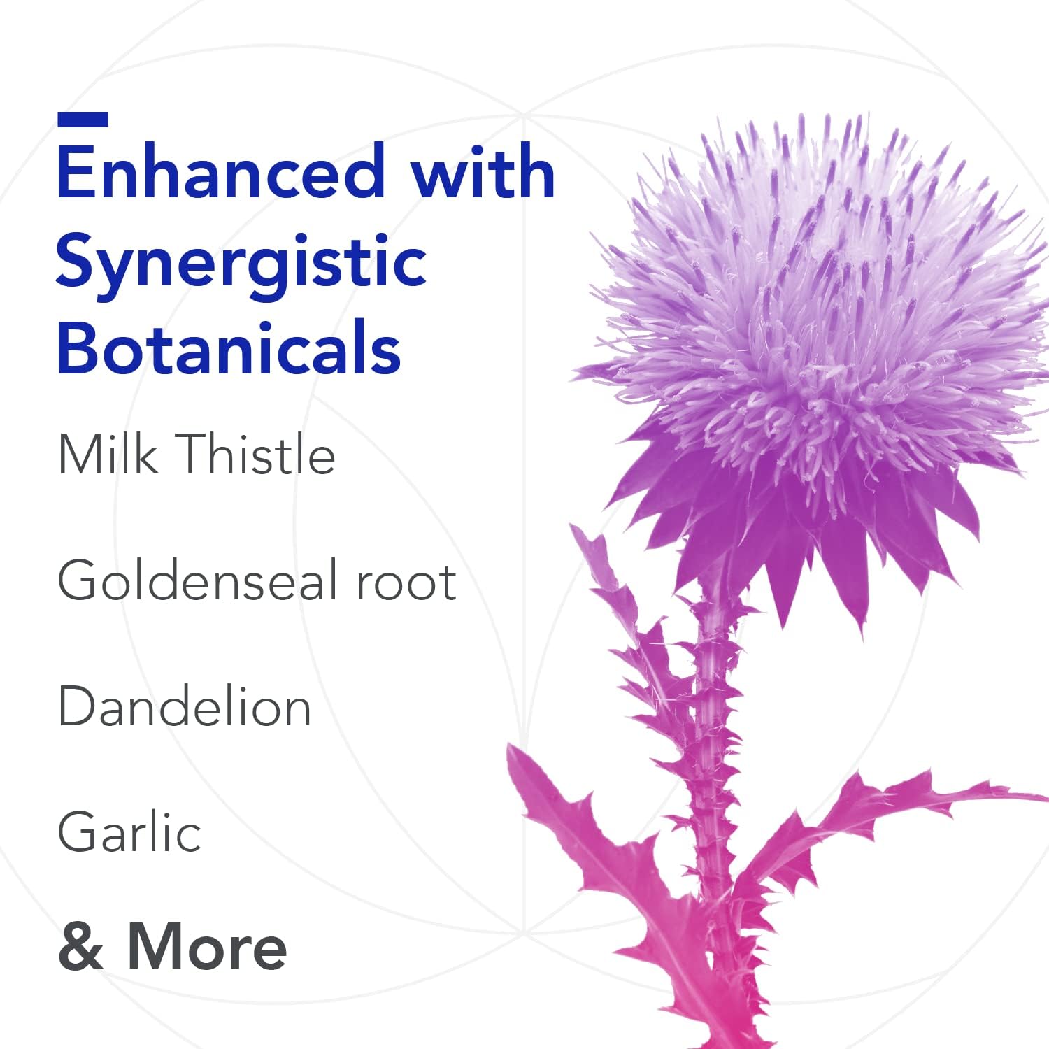 Biocidin Olivirex Olive Leaf Extract Capsules - Herbal Supplement for Microbial & Immune Support - Professional Grade & High Potency with Adaptogenic Herbs - Vegan, Gluten & Soy-Free (60 Capsules) : Health & Household