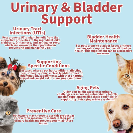 One Step: Urinary & Bladder Supplement For Dogs & Cats, 120 Tablets, Supports A Healthy Urinary Tract, Chicken Flavoured