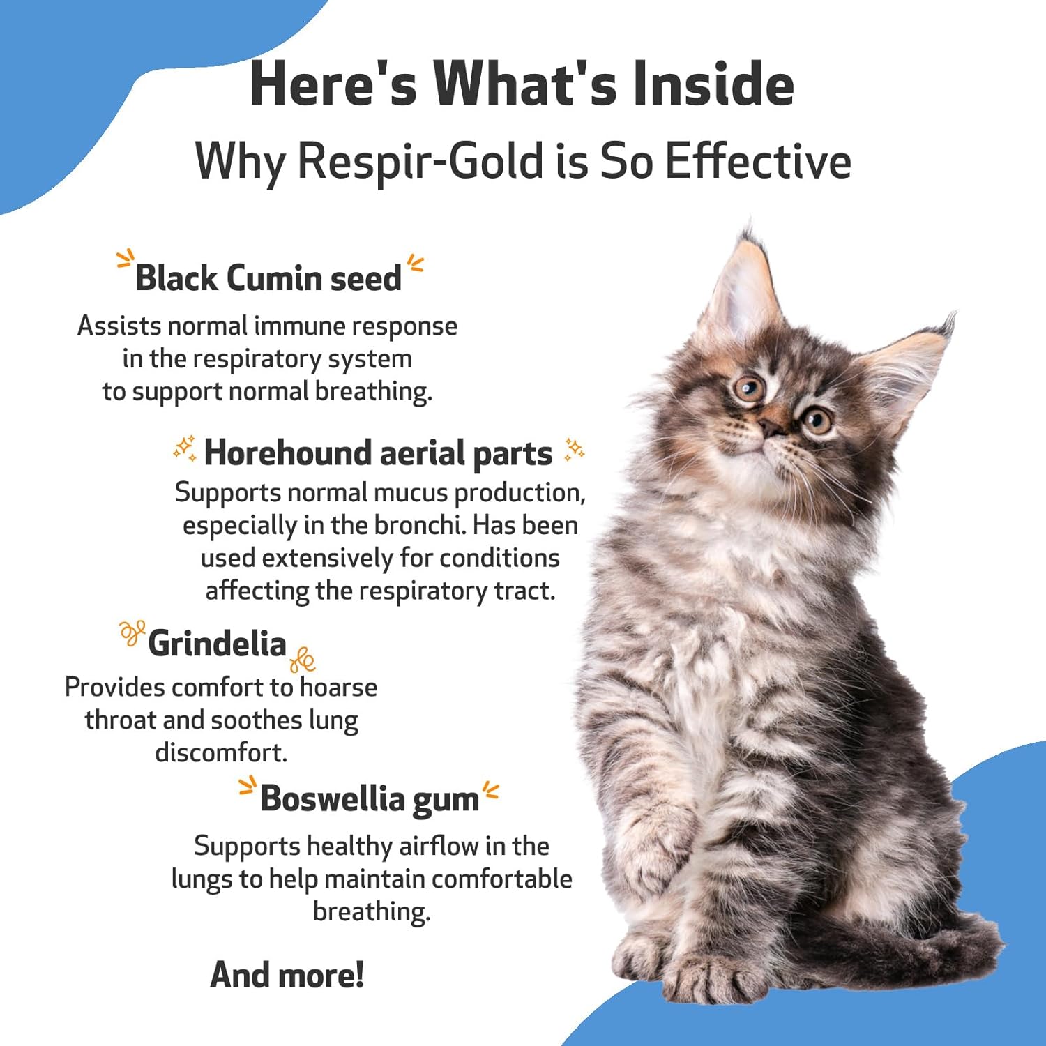 Pet Wellbeing Respir-Gold for Cats - Vet-Formulated - Easy Breathing, Open Airways, Respiratory Support - Natural Herbal Supplement 2 oz (59 ml) : Pet Supplies