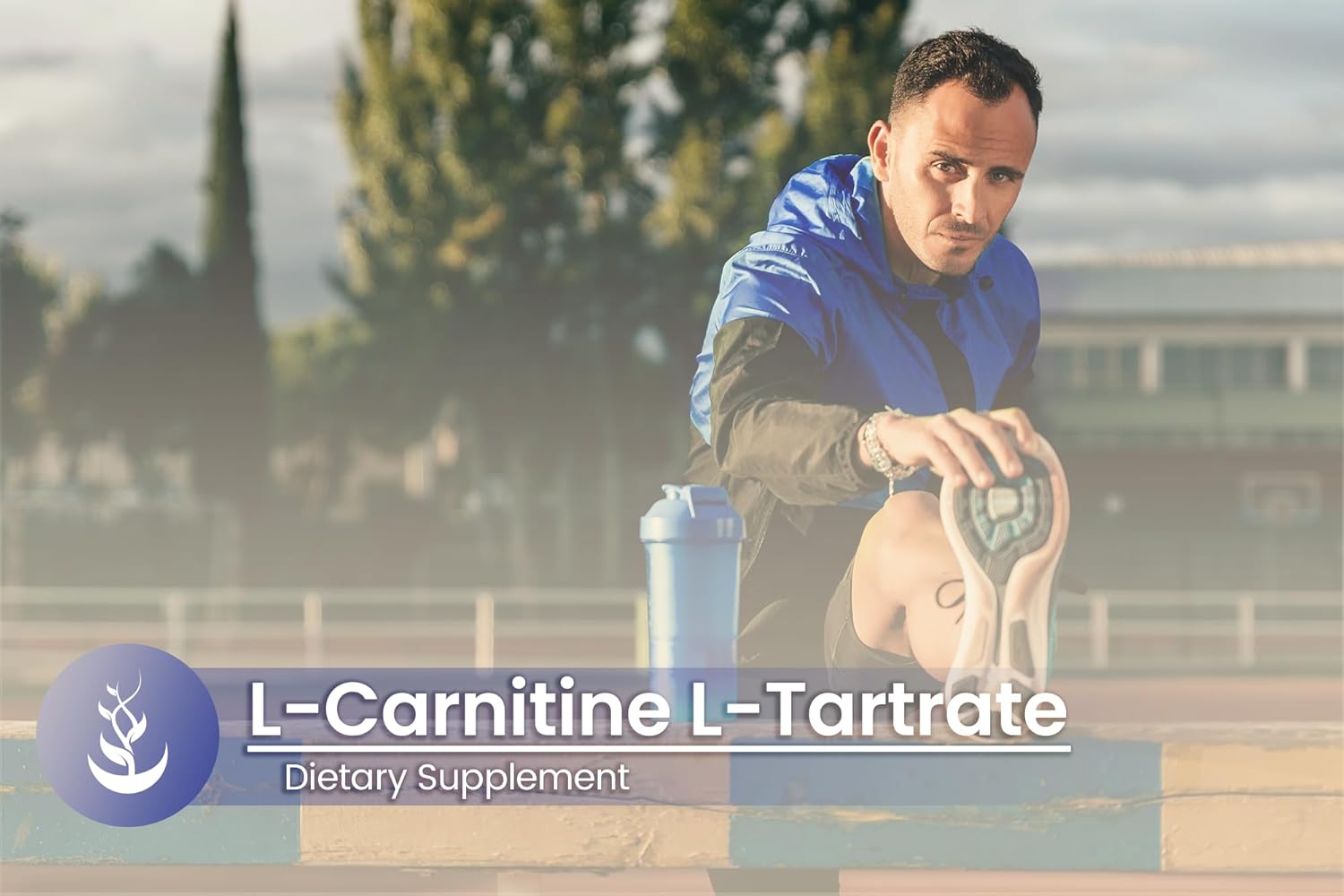 Pure Original Ingredients L-Carnitine L-Tartrate (100 Capsules) Always Pure, No Additives Or Fillers, Lab Verified : Health & Household