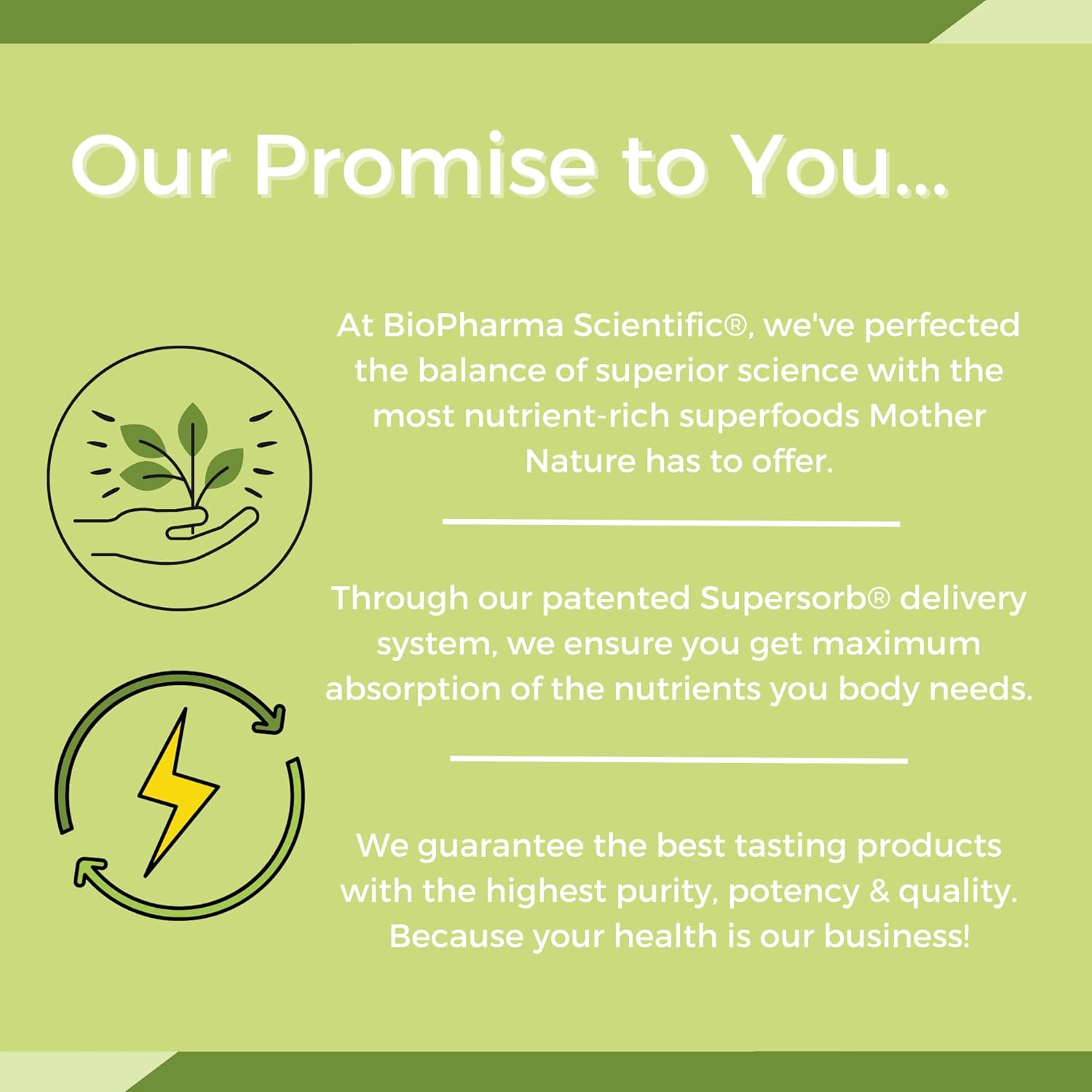 Biopharma Scientific Nanoprobiotic Gummies | 30 Servings | Probiotic Bacillus Subtilis | 5 Billion Cfu : Health & Household