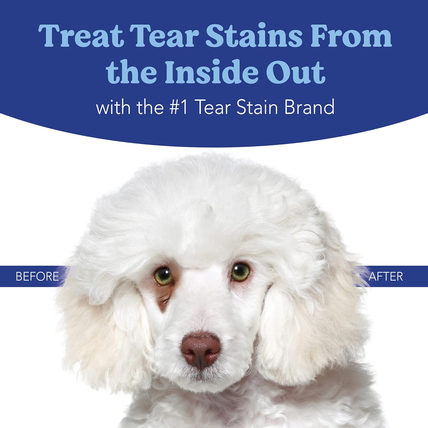 ANGELS' EYES NATURAL PLUS Tear Stain Prevention Chicken Powder for Dogs | All Breeds | No Wheat No Corn | Daily Support for Eye Health | Proprietary Formula | Limited Ingredients | Net Content 45g : Complementary Medicine : Pet Supplies