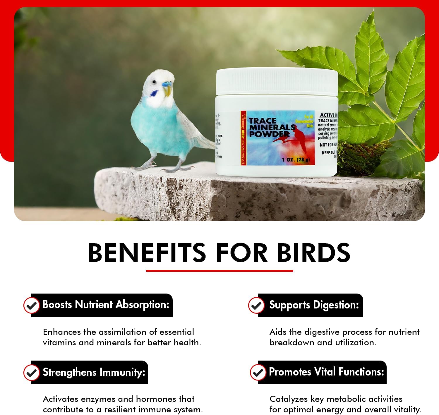Morning Bird Trace Minerals Powder For Birds, 1 Oz : Health & Household