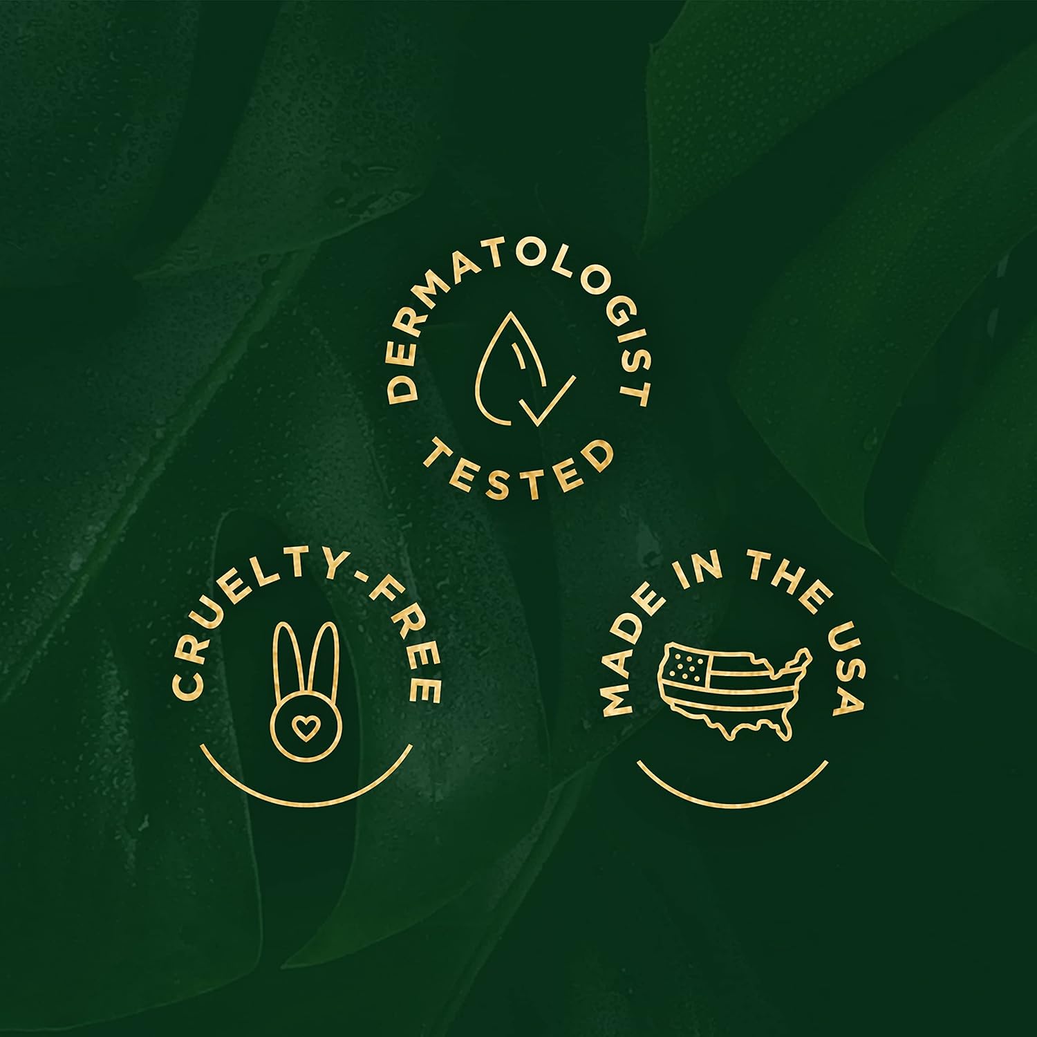 New Look | Tree Of Life Hyaluronic Acid Hydrating Set For Face, Serum (1 Oz), Moisturizer Cream (1.7 Oz), Vitamin C Eye Gel, (0.5 Oz), Facial Tightening Lift, Clean Dermatologist-Tested Skin Care : Beauty & Personal Care