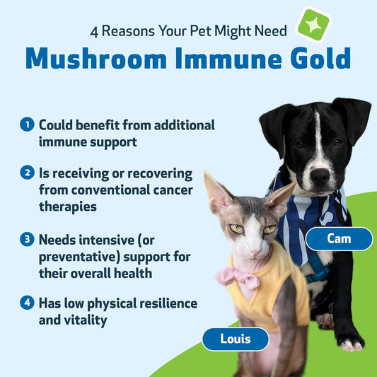 Pet Wellbeing - Mushroom Immune Gold - Natural Alternative Immune Support For Dogs And Cats - 8Oz (237Ml)