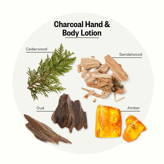 Apotheke Scented Hand & Body Lotion For Women & Men, Charcoal (10 Fl Oz)