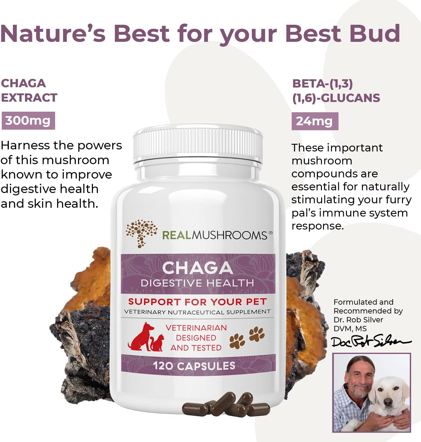 Chaga Pet Support Mushroom Supplement (120ct) Cat & Dog Vitamins for Immune Defense & Digestion Support - Vet Approved Mushroom Dog Vitamins and Supplements, Grain-Free, Gluten-Free : Pet Supplies