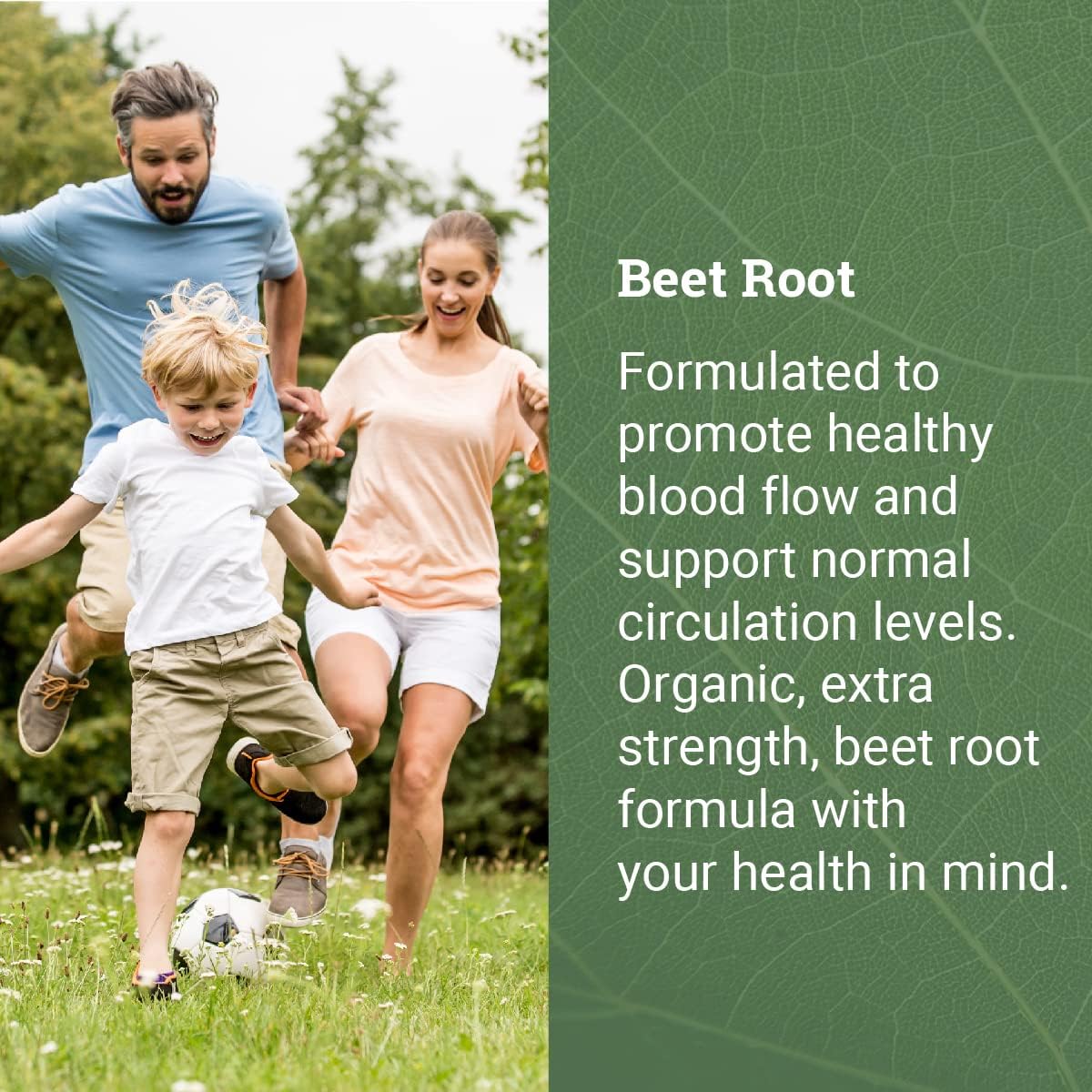 Earth Harmony Liquid Chlorophyll & Beet Root Powder & Juice Blend - 2 Fl Oz & 120 Capsules : Health & Household