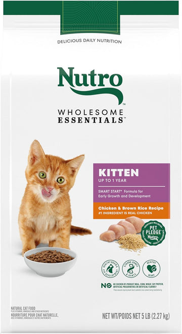 Nutro Wholesome Essentials Natural Dry Cat Food, Kitten Chicken & Brown Rice Recipe Cat Kibble, 5 Lb. Bag