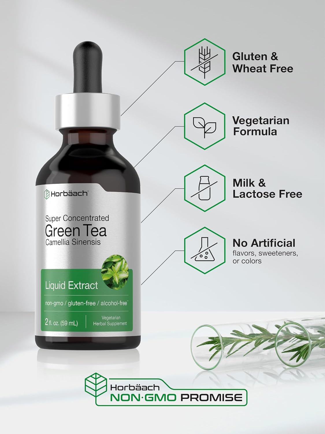 Horbäach Green Tea Extract Liquid | 2 Fl Oz | Alcohol Free, Vegetarian Tincture | Super Concentrated Supplement | Non-GMO, Gluten Free : Health & Household