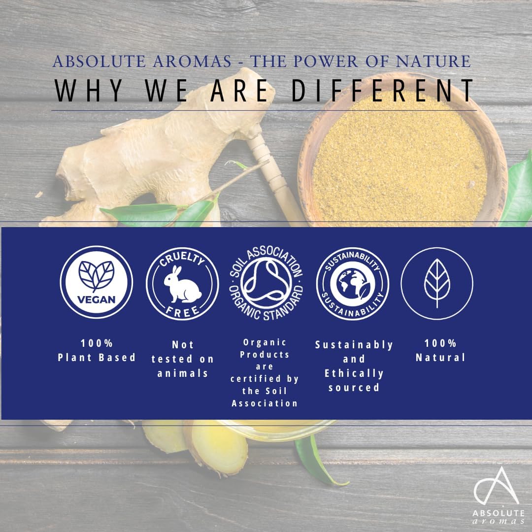 Absolute Aromas | Ginger Hair & Body Treatment Oil - with Pure Ginger CO2, Castor, Sunflower & Almond Oil, 100ml : Amazon.co.uk: Beauty