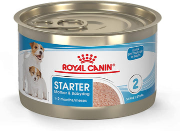 Royal Canin Size Health Nutrition Small Mother & Babydog Starter Mousse in Sauce Wet Dog Food, 5.1 oz can (24-count)