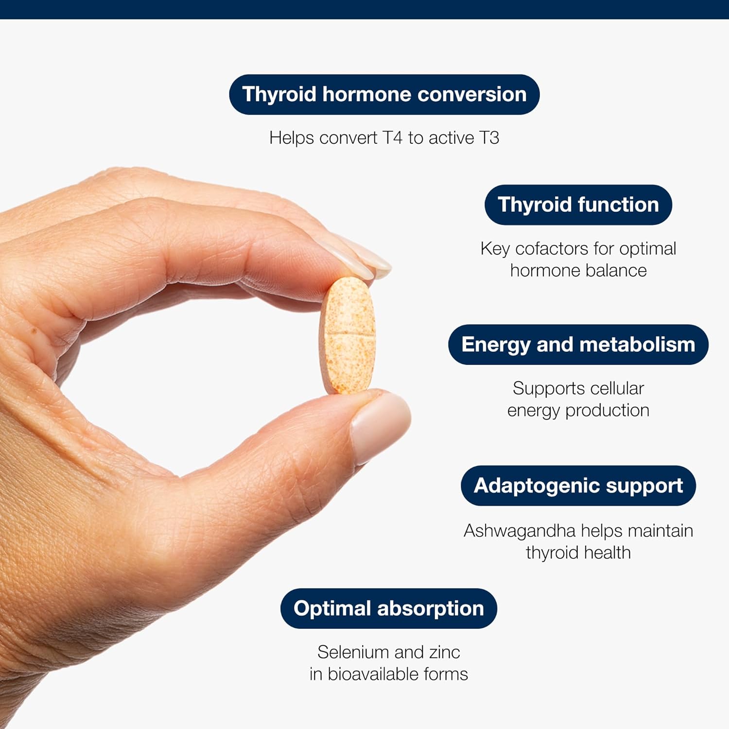 Metagenics Thyro Convert with Gum Guggul Resin - with Ashwagandha, Selenium & Zinc for Healthy Thyroid Hormone Conversion - 60 Capsules : Amazon.co.uk: Health & Personal Care