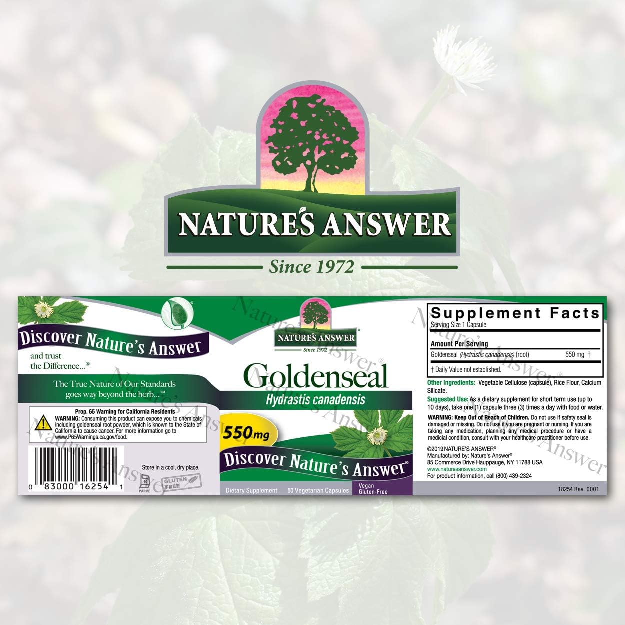 Nature's Answer Goldenseal Root Vegetarian Capsules, 50-Count | Promotes Overall Wellness | Natural Immune Booster | Inammatory Reducer