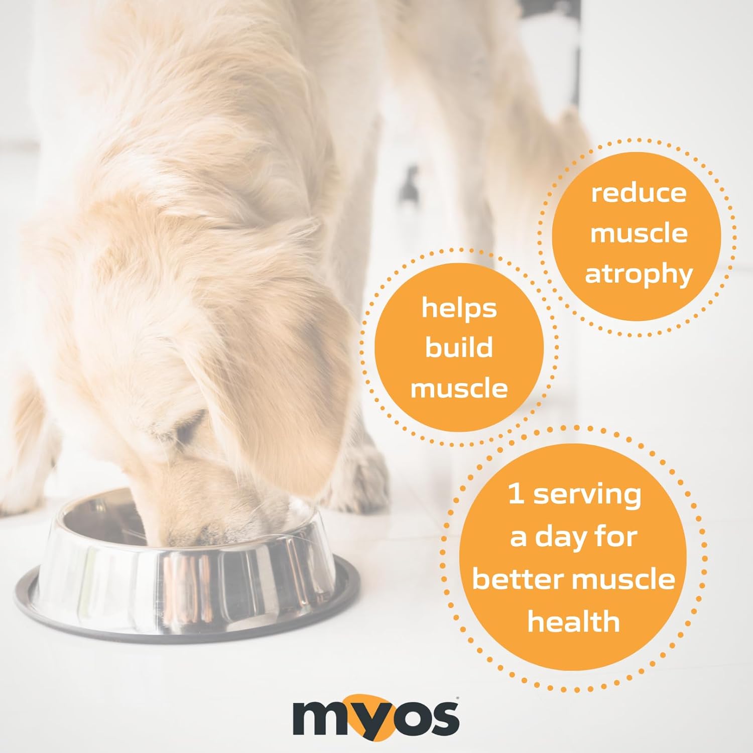 MYOS Canine Muscle Formula - All-Natural Muscle Building Supplement - Reduce Muscle Loss in Aging Dogs and Improve Recovery from Injury or Surgery : Pet Supplies