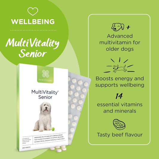 Healthspan Multivitamin Senior For Dogs | 240 Tablets | 15 Essential Vitamins & Minerals | Siberian Ginseng | B Vitamins | Zinc | Copper | Biotin | Beef Flavoured | Pet Health