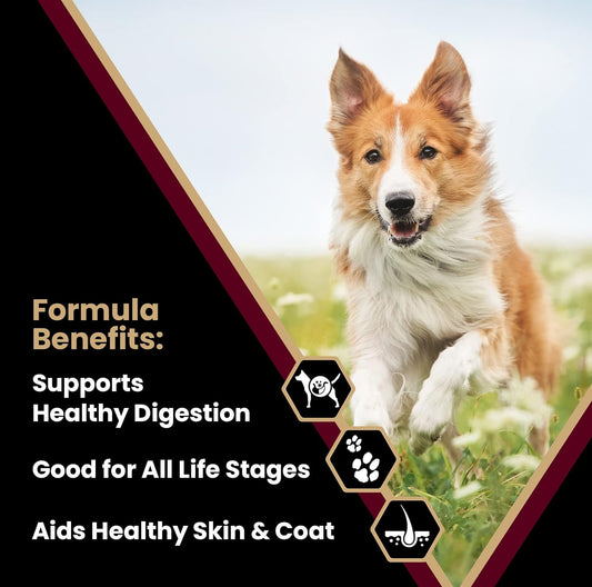 Victor Super Premium Dog Food – Lamb Meal & Brown Rice Formula - Dry Dog Food For All Normally Active Dogs Of All Life Stages – Ideal For Dogs With Meat Protein Allergies, 40 Lb