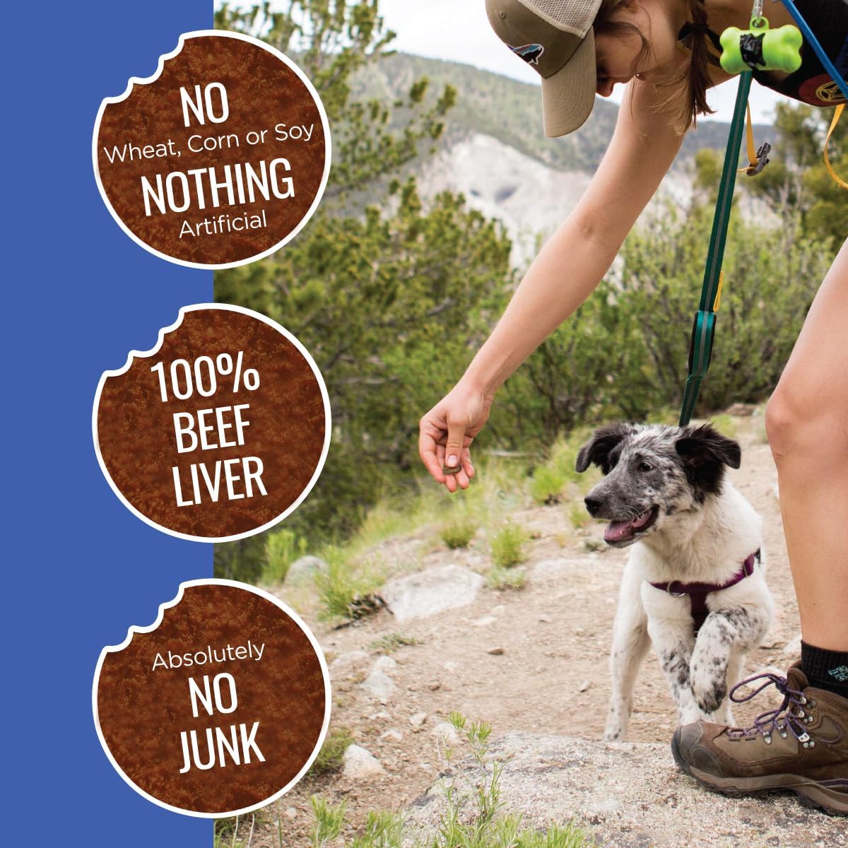 Smart Cookie Freeze Dried Beef Liver Bites - Single Ingredient Beef Liver Dog Treats - Low Calorie Training Treats for Dogs - 2oz Bag, 1 Pack : Pet Supplies