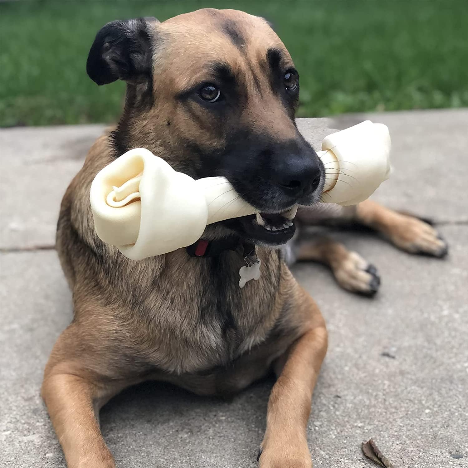 Pet Factory American Beefhide 12" Knotted Bone Dog Chew Treat - Chicken Flavor, 1 Count/1 Pack : Pet Supplies
