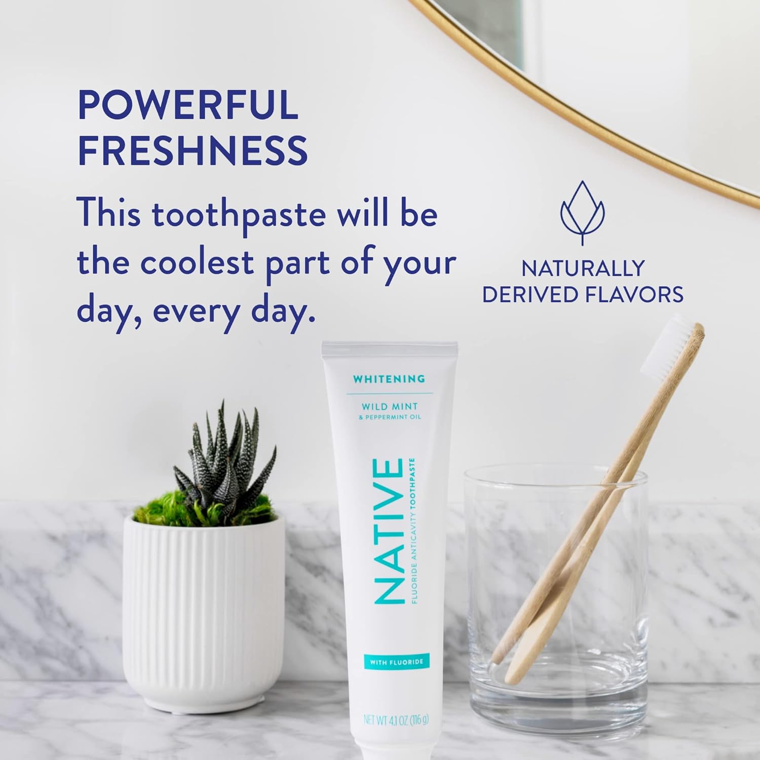 Native Toothpaste Made from Naturally-Derived Cleaners and Simple Ingredients That Safely Whitens Teeth, 4.1 oz, Wild Mint with Fluoride - 1 Count : Health & Household