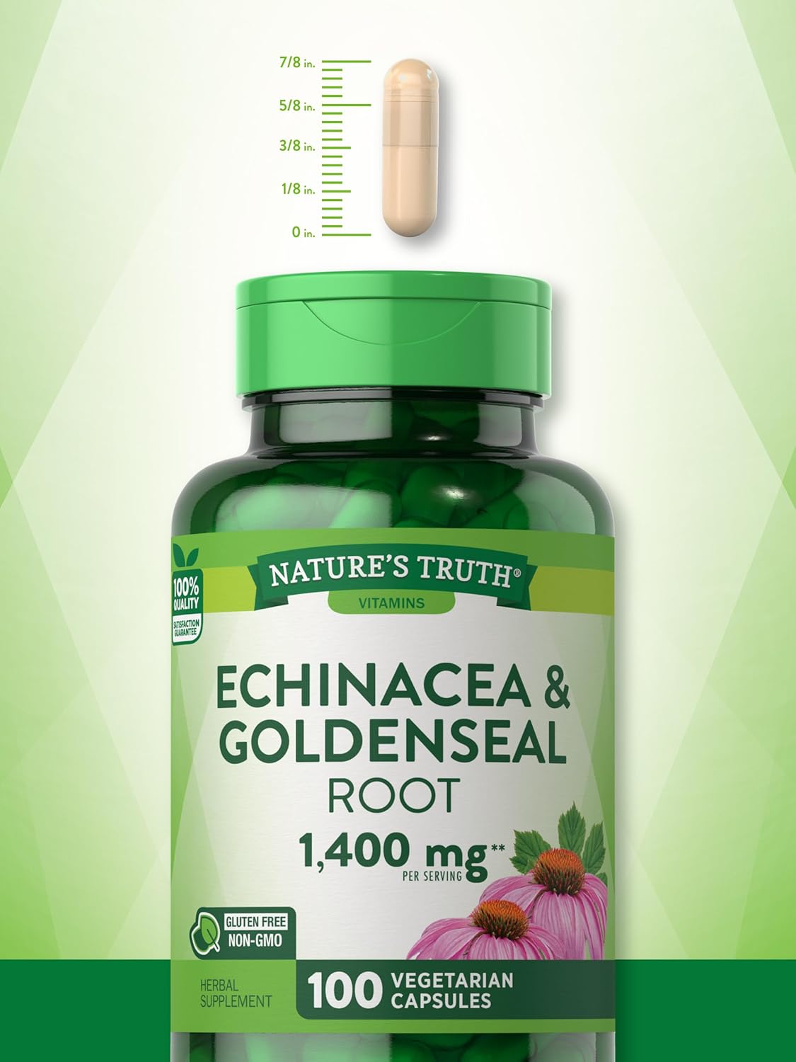 Echinacea Goldenseal Capsules | 1400mg | 100 Count | Vegetarian, Non-GMO & Gluten Free Supplement | Herbal Support Complex | by Nature's Truth : Health & Household