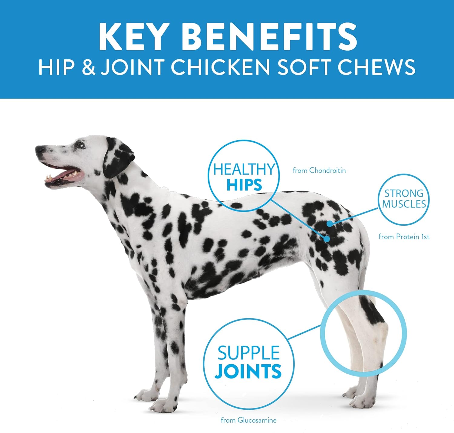 Dogswell Hip & Joint Chicken Soft & Chewy - 14 oz. : Pet Supplies