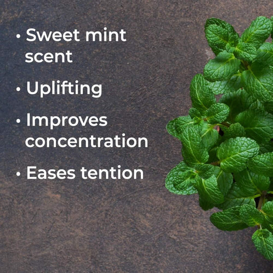 Plant Therapy Spearmint Essential Oil 100 Ml (3.3 Oz) 100% Pure, Undiluted, Therapeutic Grade