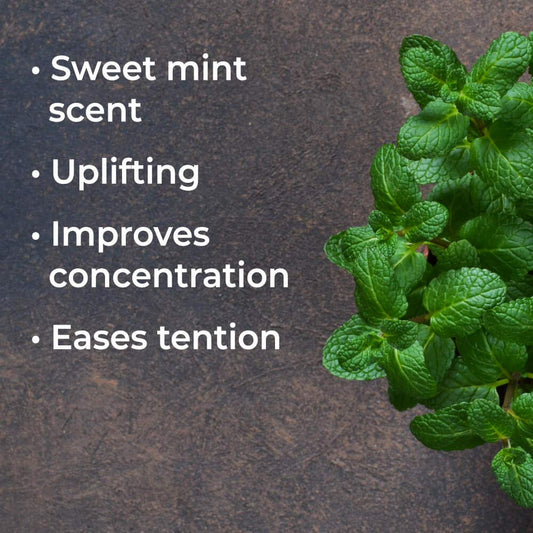 Plant Therapy Usda Certified Organic Spearmint Essential Oil 30 Ml (1 Oz) 100% Pure, Undiluted, Therapeutic Grade