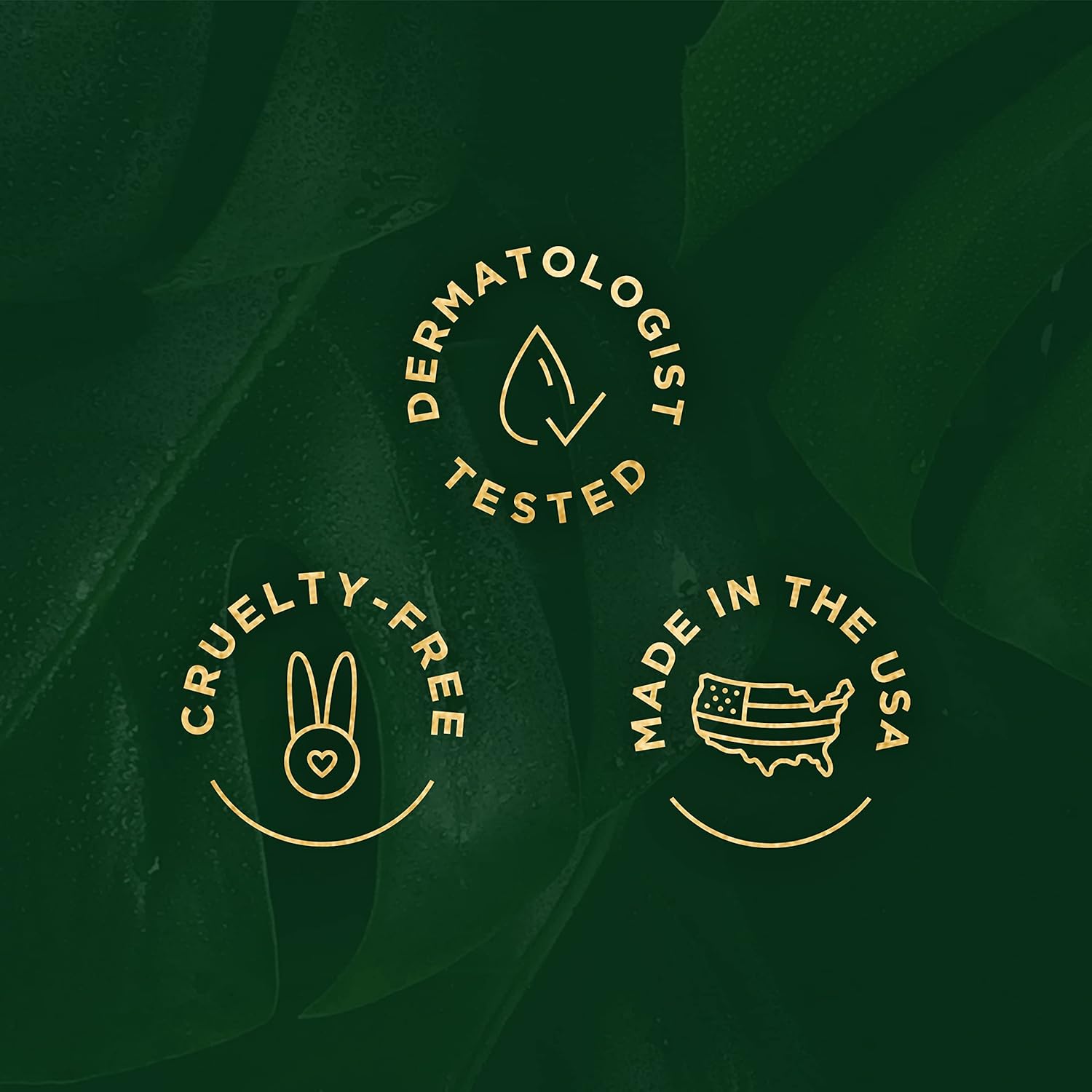 Tree Of Life Beauty Anti-Aging Eye Treatment Gel Cream To Hydrate Dark Circles And Reduce Puffiness, Bags And Wrinkles, Vitamin C : Beauty & Personal Care