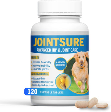 Hip and Joint Supplement for Dogs - Glucosamine for Dogs - Joint Support Supplement for Dogs with Glucosamine, Chondroitin and Green Lipped Mussels - 120 Tablets for All Breeds & Sizes