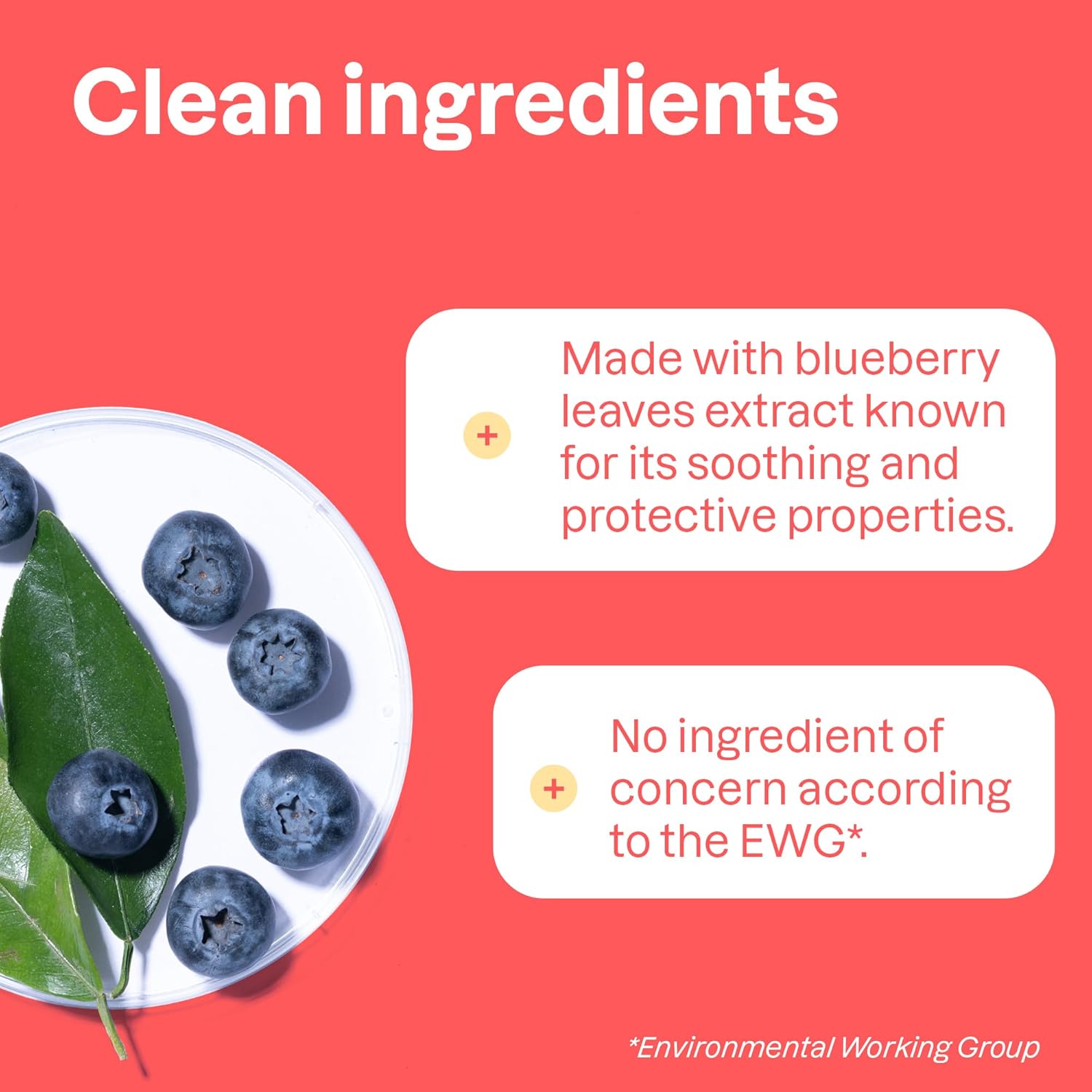 Attitude Foaming Hand Soap For Kids, Ewg Verified, Dermatologically Tested, Plant- And Mineral-Based Ingredients, Vegan, Blueberry, 10 Fl Oz : Beauty & Personal Care