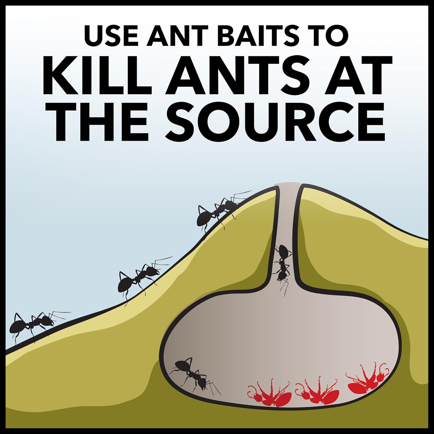 Raid Ant Killer Baits, For Household Use, Kills The Colony, Kills Ants For 3 Months, Child Resistant, 4 Count