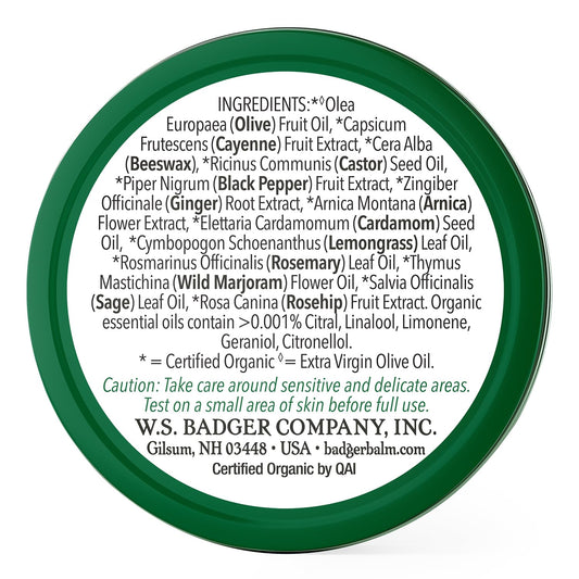 Badger Sore Joint Rub, Arnica & Black Pepper, Organic Balm For Sore Joints, Warming Joint Relief Balm