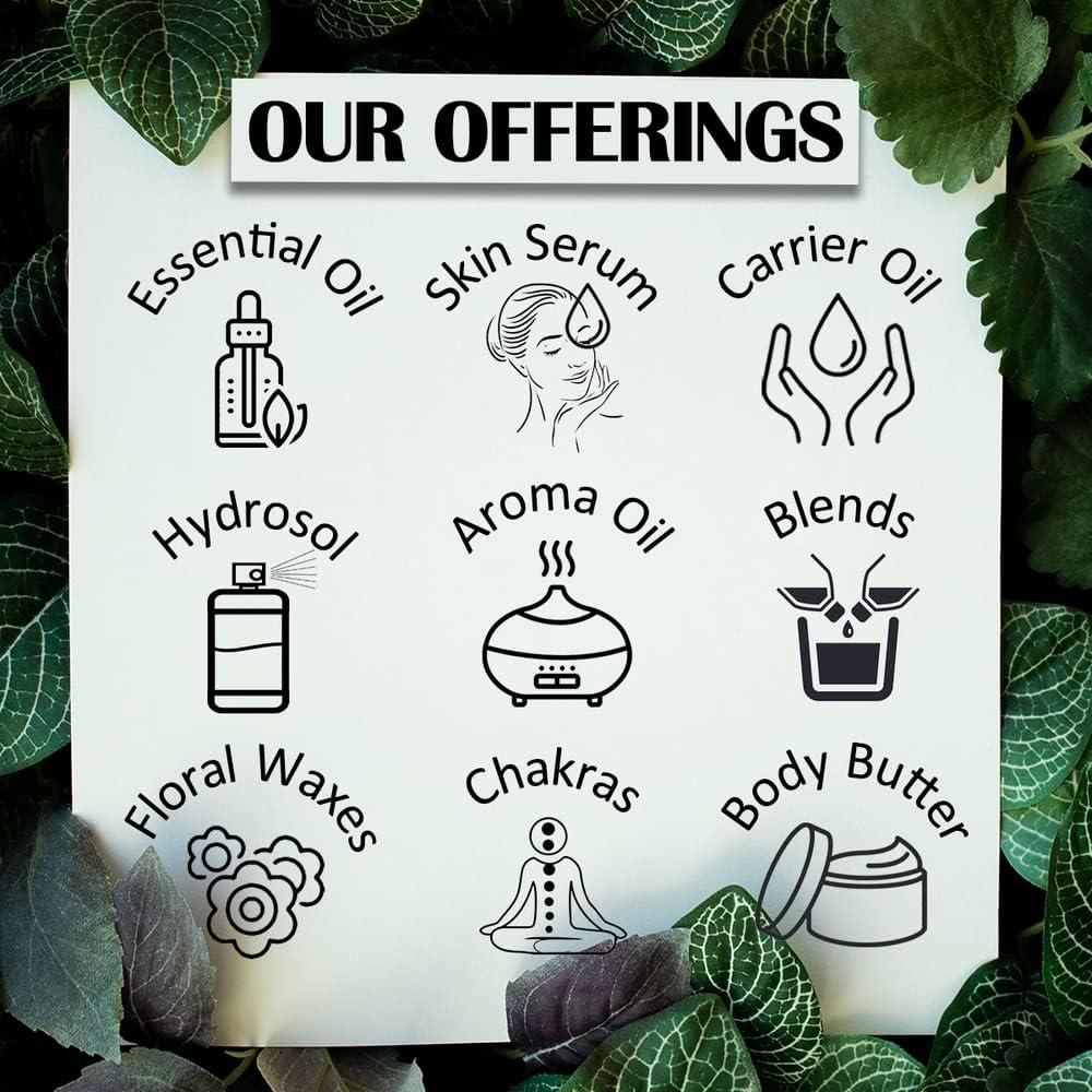 Dève Herbes Clove Essential Oil (Syzygium Aromaticum) Pure | Non-Sticky | Non-Greasy | Lightweight | Men & Women | All Skin Types | Steam Distilled 15Ml (0.5 Oz) : Health & Household