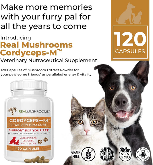 Real Mushrooms Cordyceps Pet Support Mushroom Supplement (120ct) Cat & Dog Vitamins and Supplements for Performance, Energy, & Vitality - Vet Approved Mushroom Powder Capsules Grain-Free, Non-GMO