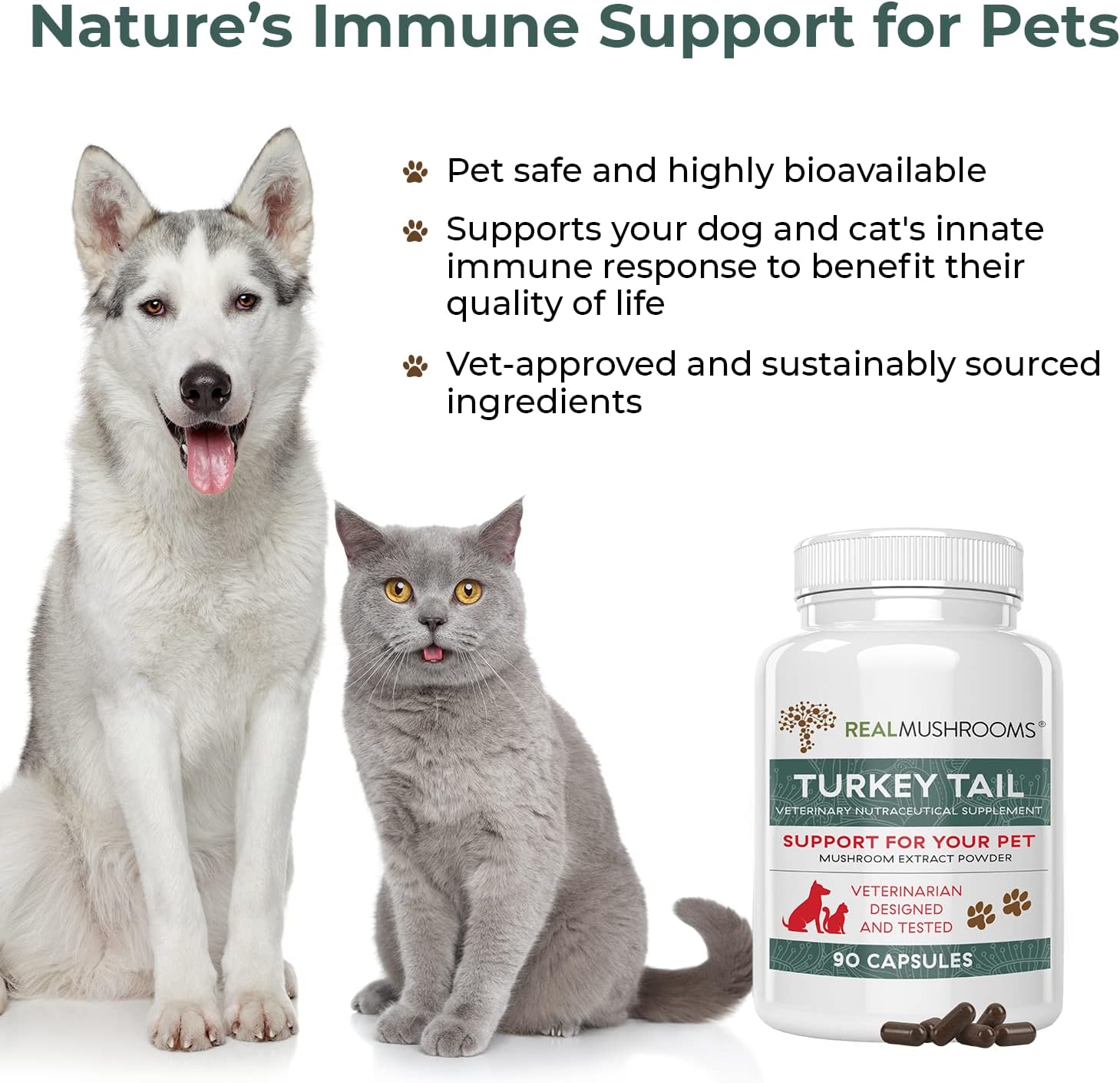 Turkey Tail Pet Support - Dog Multivitamins and Supplements for Immune Support, Gut Health & Wellness - Grain-Free, Gluten-Free, Vet-Approved Dog Supplement (90ct) : Pet Supplies